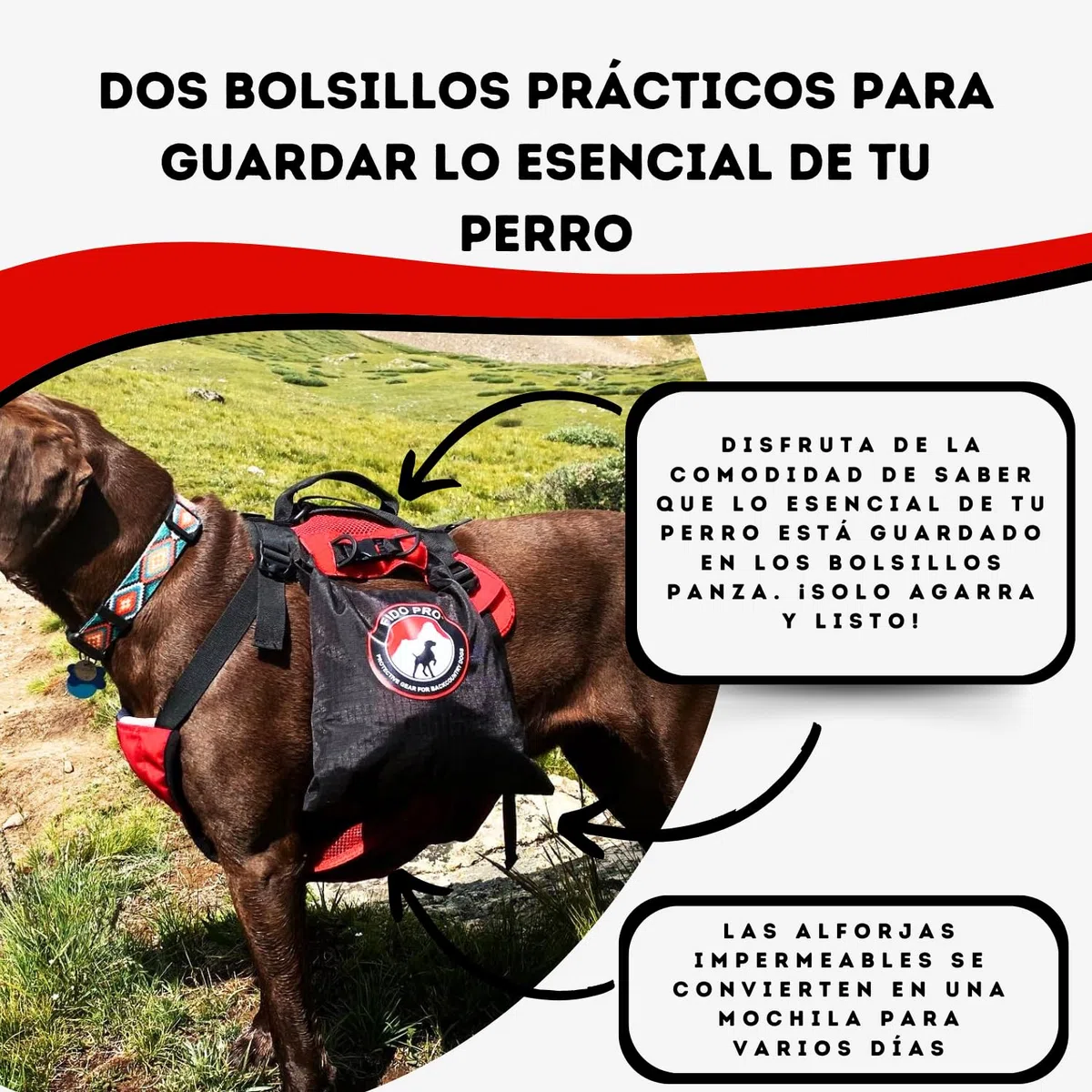 Fido Pro Panza Harness V2 mit ausklappbarem Rettungsgurt für Hunde - Mittel bis Extra-Large, mit Taschen, Kletterverschlüssen und Tragegriff - Hundewander-Ausrüstung - Für Hunde von 14-68 kg (Schwarz)