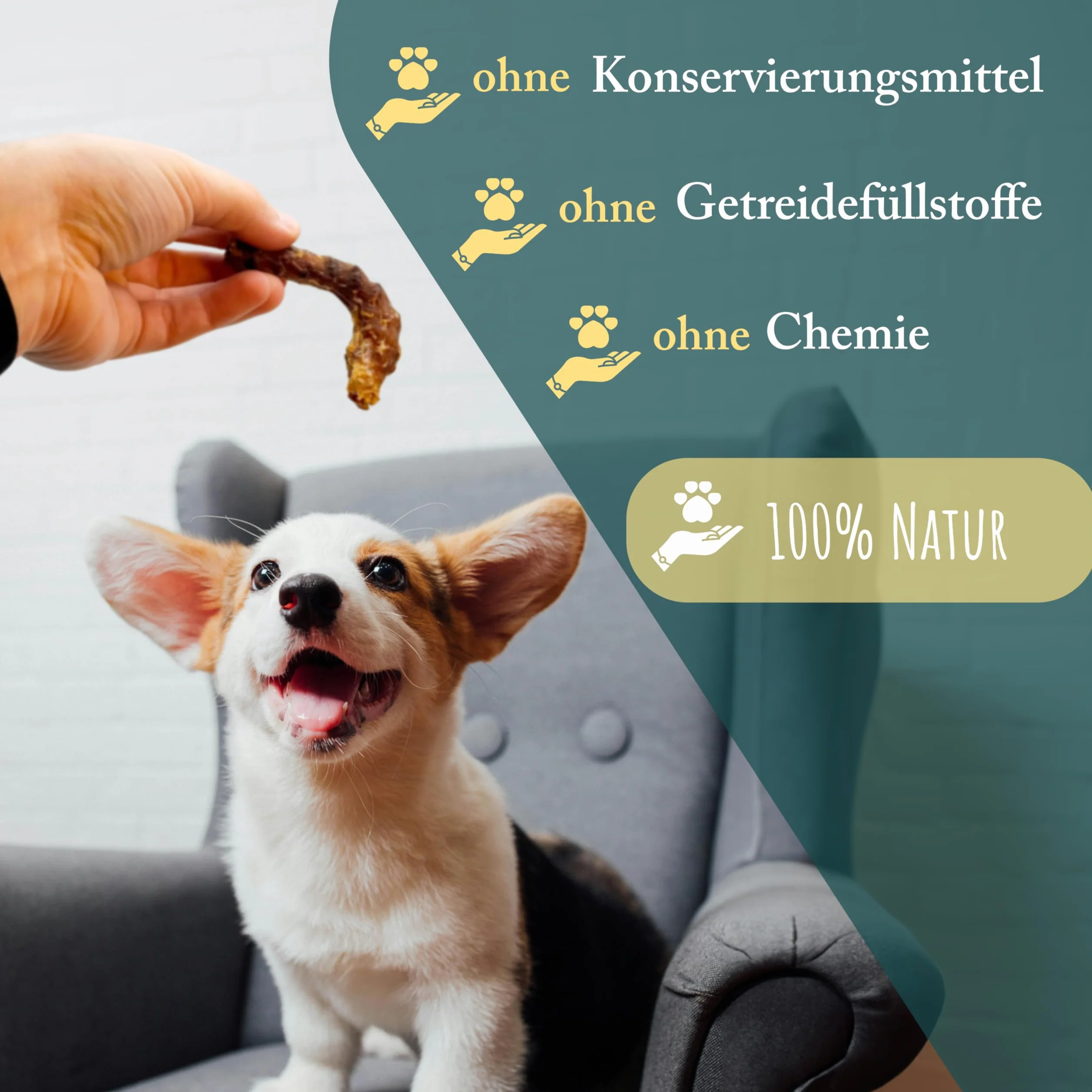 Hühnerhälse für Hunde getrocknet | 2,5 kg | natürliche und hochwertige Hühnerhälse | fettarm und proteinreich | Kauartikel zur Zahnpflege von WuffSnacks