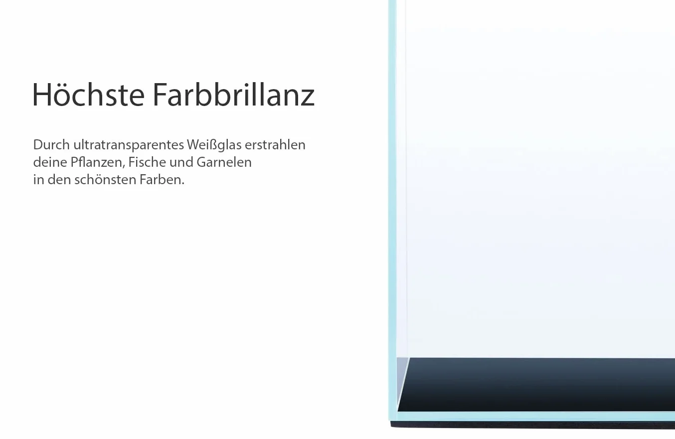 Q-Grow Nano Aquarium mit höchster Farbbrillanz 30 x 30 x 25, hochwertiges Weißglas Aquarium klein, Nanobecken - 22 l