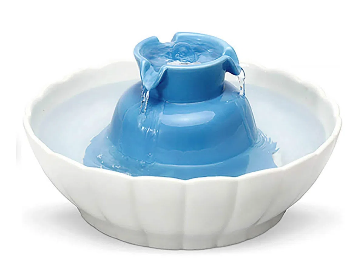Trinkbrunnen für Haustiere, intelligenter Wasserspender für Katzen, Keramik, Wassermangel, automatische Zirkulationsfiltration mute/Blau / 2.1L