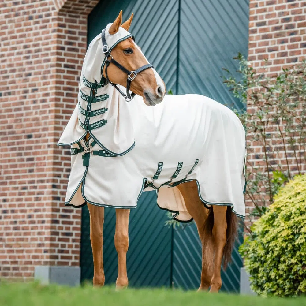 Horseware Ekzemerdecke Rambo Hoody Chalk/Hunter Green & Silver/ 155 cm (6'9")