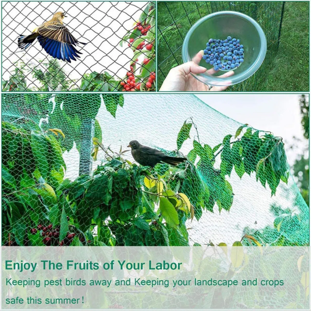 Schutznetz Katzen Balkon Ohne Bohren Gartennetze Katzennetz Schutznetz FüR HüHner 1.5 x1.5cm große Netz für Rausfallschutz Schutznetz für Katze,6x10m