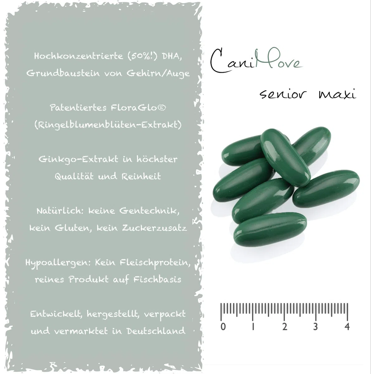 Spar-Bundle - 1 Dose (100 Tabletten) CaniMove Motion Maxi und 2 Packungen (200 Kapseln) CaniMove Senior - ideal für alle Hundesenioren