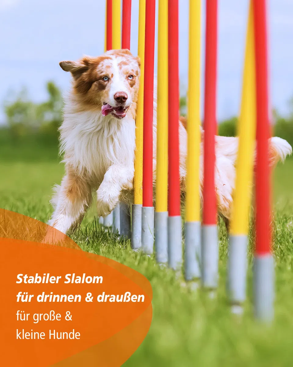 Agility-Slalom – Slalom für Turnier & Agility-Training – mit 12 Stangen & und Basis aus Metall – stabile Ausführung – FCI-konform – Set mit Tragetaschen