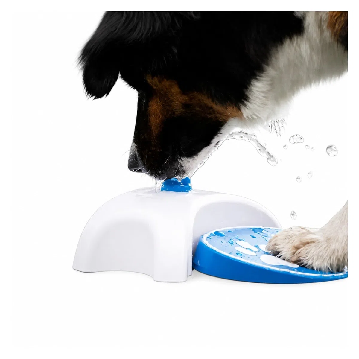 Trinkbrunnen für Haustiere, Step On Hundewasserbrunnen Mit 162 cm Schlauch | Kunststoff-Pedal-Sprinklerspender Für Hunde Und Katzen, Terrasse, Garten,