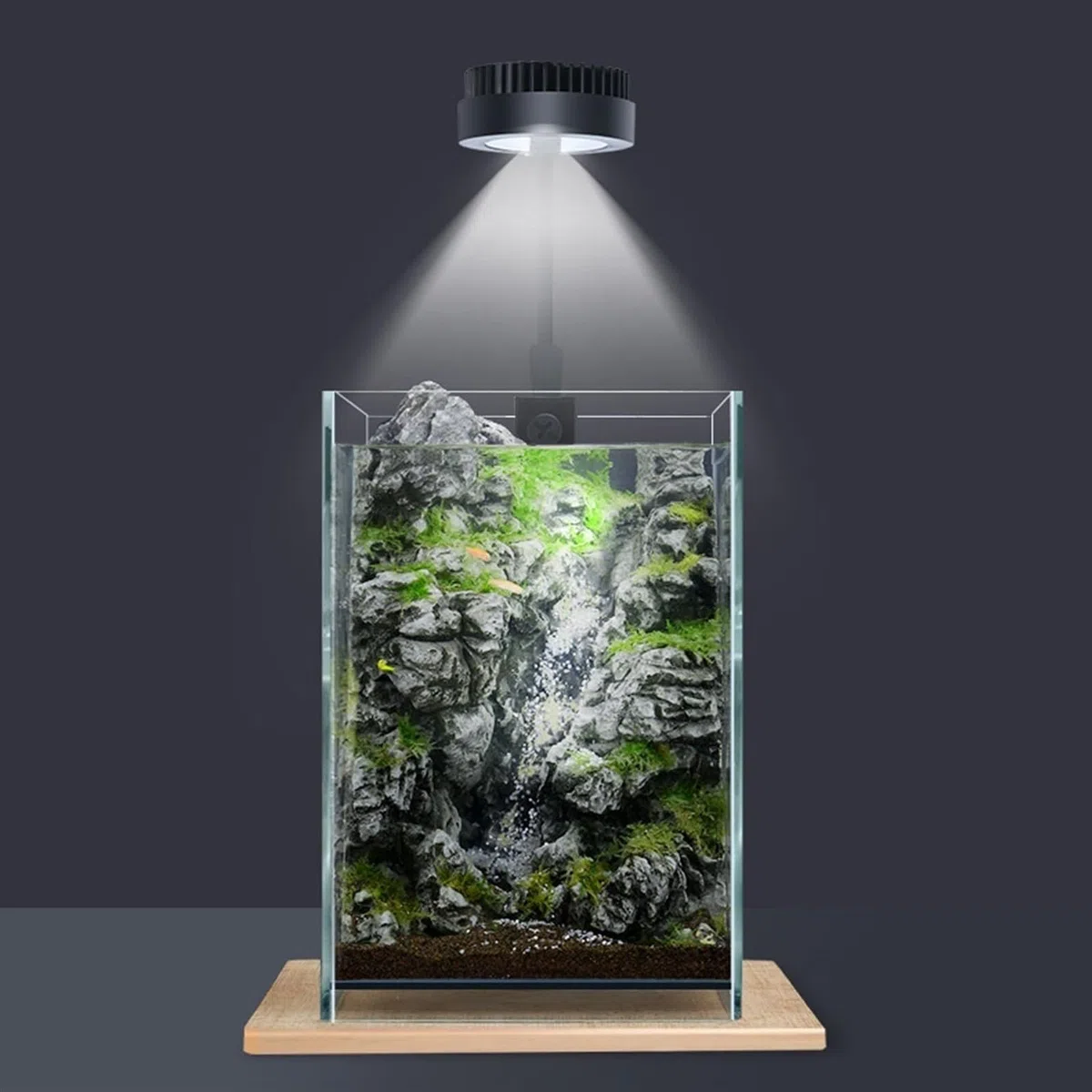 Aquarium Aquarium Desktop Kleines DIY Ökologisches Büro Zuhause Dekoration Aquarium