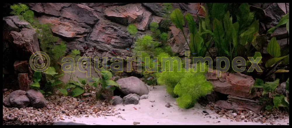 3D Aquarienrückwand 120x50 Rock