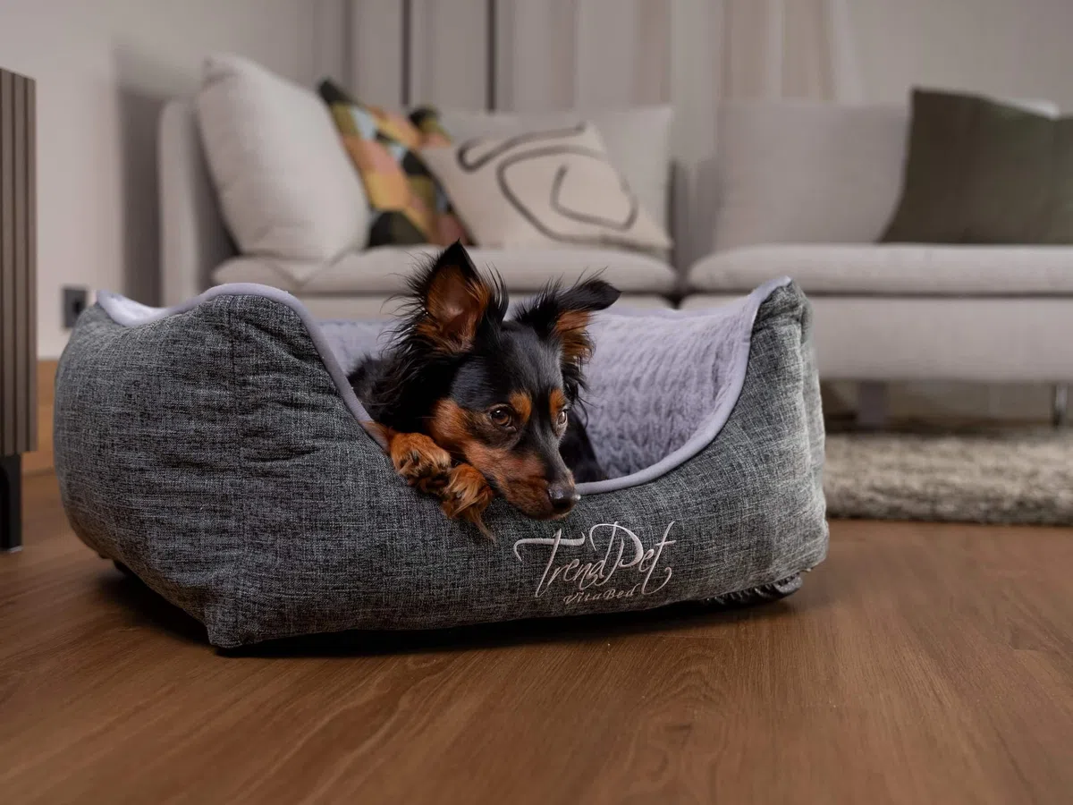 TrendPet VitaBed - Orthopädisches Hundebett mit 5cm Memofoam (60x50cm)