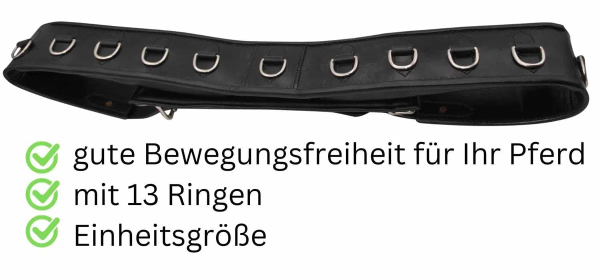 AMKA Pro Longiergurt aus Leder mit 13 Ringen auch für Doppellonge Arbeit geeignet Warmblut