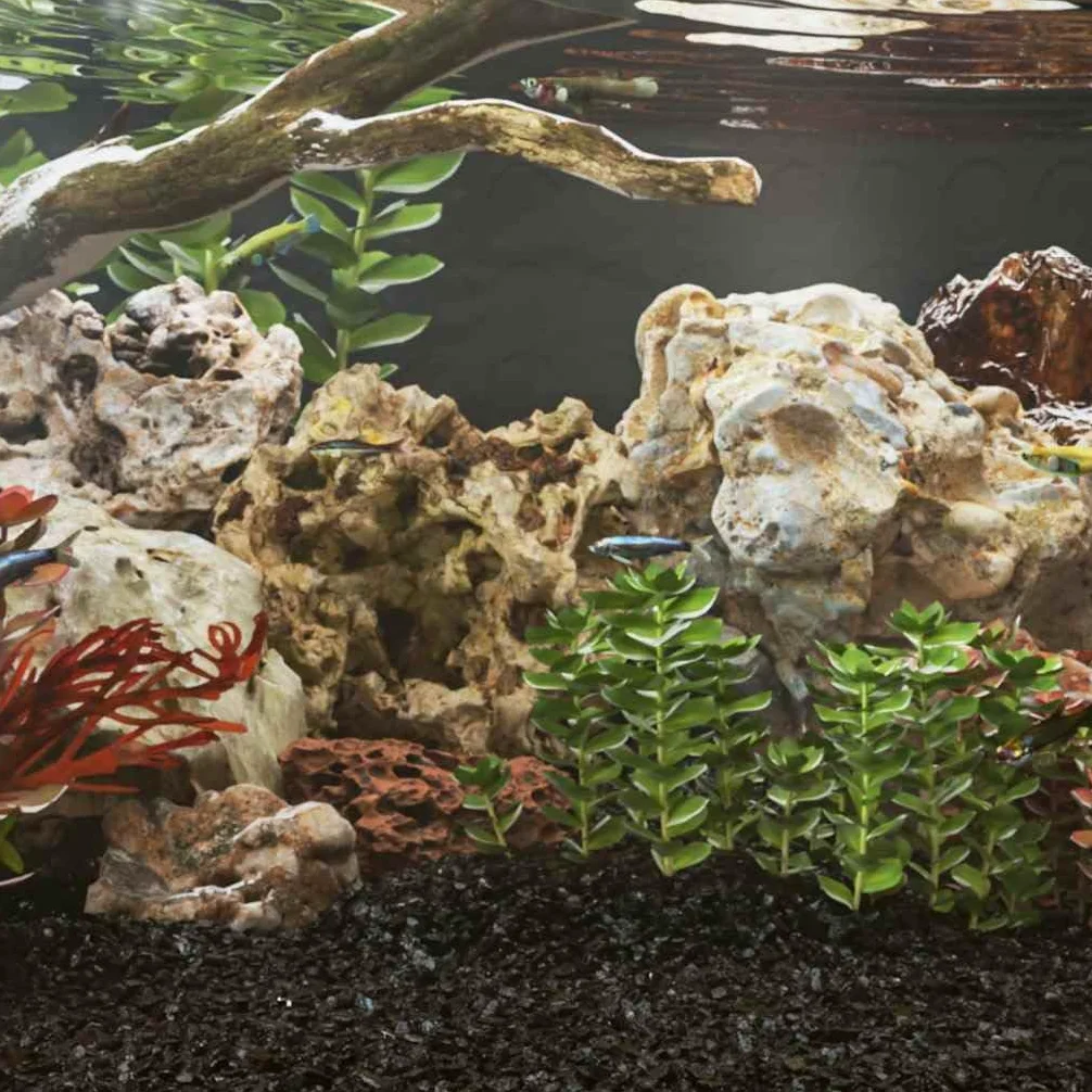 Mangloder Drachensteine graue Aquariumdekoration 25 kg 10 bis 40 cm, natürlich strukturierte Felsen für Aquascape, Süßwasser Becken, Nano Einrichtung, Terrarium und Versteck für Garnele und Fisch