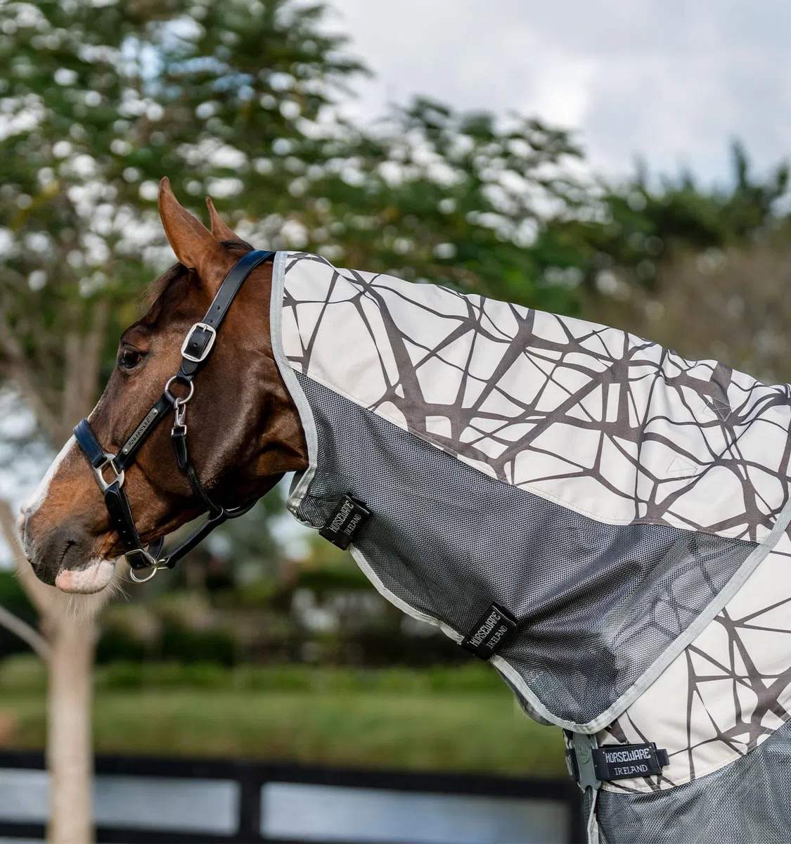 Horseware Fliegendecke Amigo CamoFly 3-in-1 Plus CamoFly Print/Grey/ 160 cm (7'0")