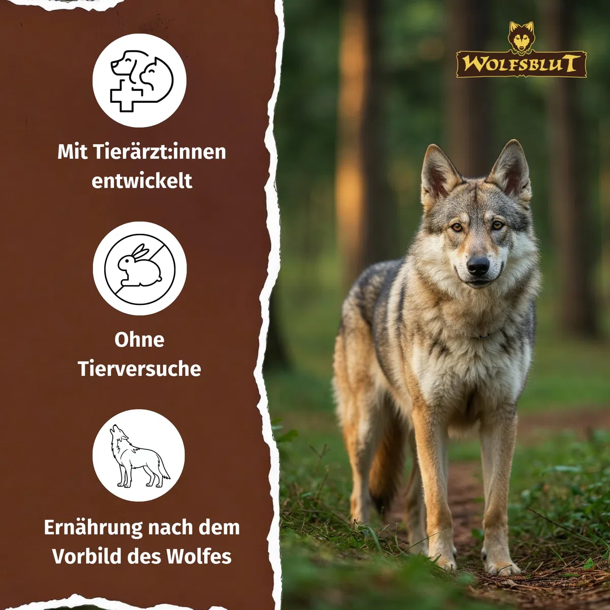 WOLFSBLUT – Wild Duck Adult | Trockenfutter mit natürlichen Zutaten und Superfoods für ausgewachsene Hunde. Getreidefreies Alleinfutter ohne Zusatzstoffe im Beutel | 12,5kg Ente