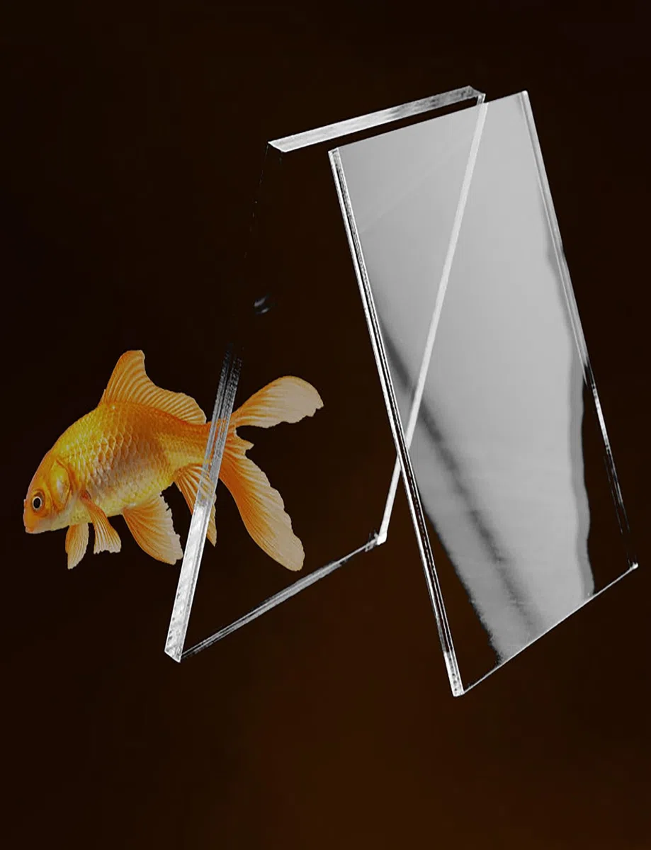 DIY Acryl-Aquarium-Schiebedeckel – Push-Pull-Aquariumabdeckung, katzenkratzfestes und spritzwassergeschütztes Design(40x20cm/15.7x7.8in)