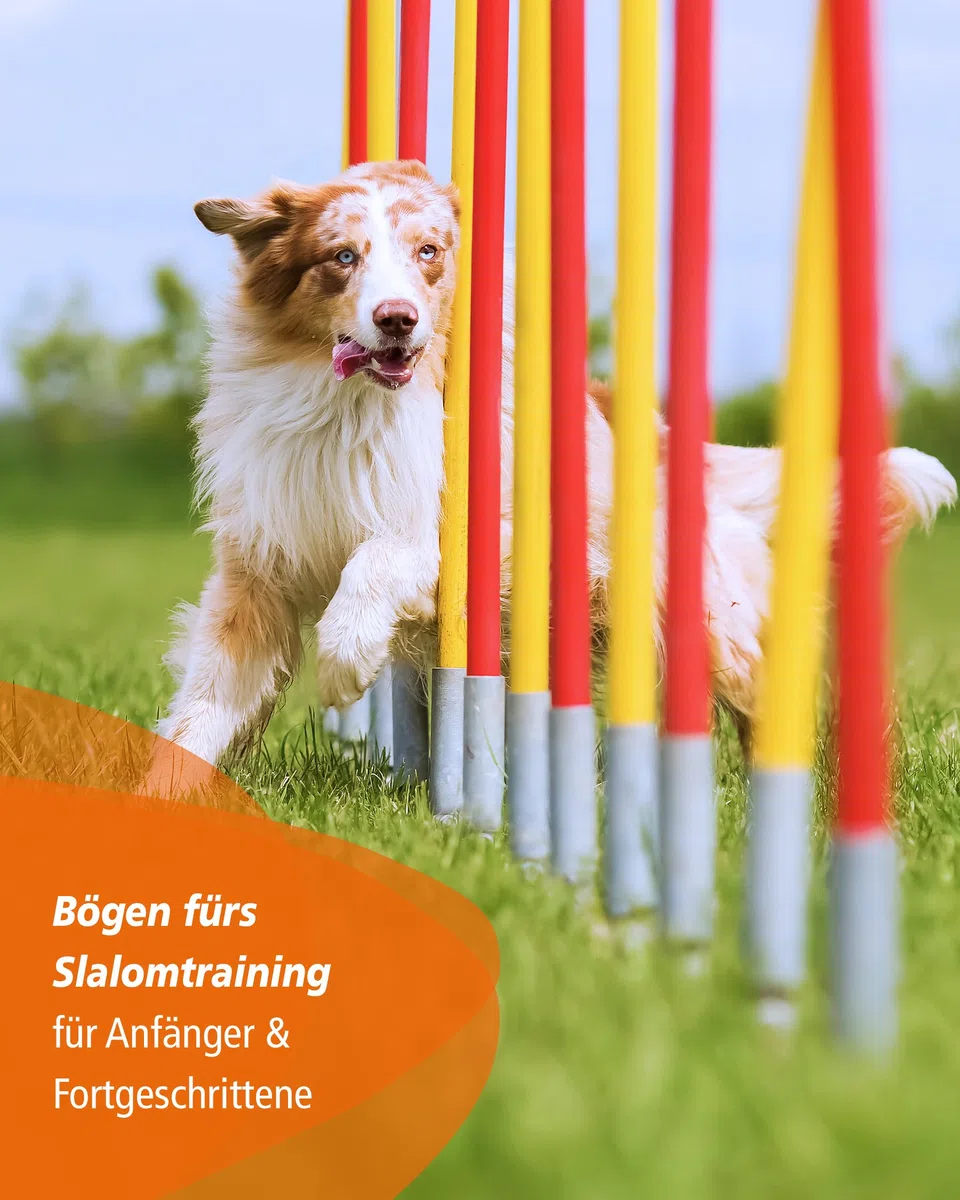 Trainingsbögen für Agility-Training – 10er-Set – für Stangen mit ø 32 mm – Slalomtraining