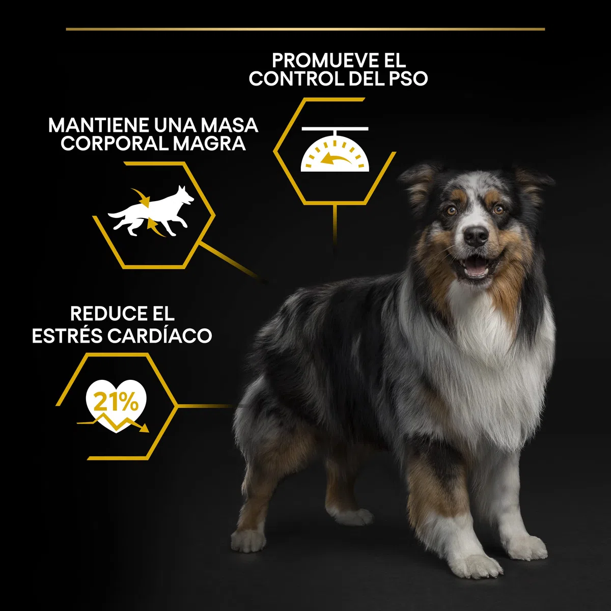 Purina Pro Plan Light/Sterilized Hundefutter für Erwachsene, sterilisiert, leicht, Gewichtskontrolle mit weißem Fisch, 4 Beutel à 3 kg