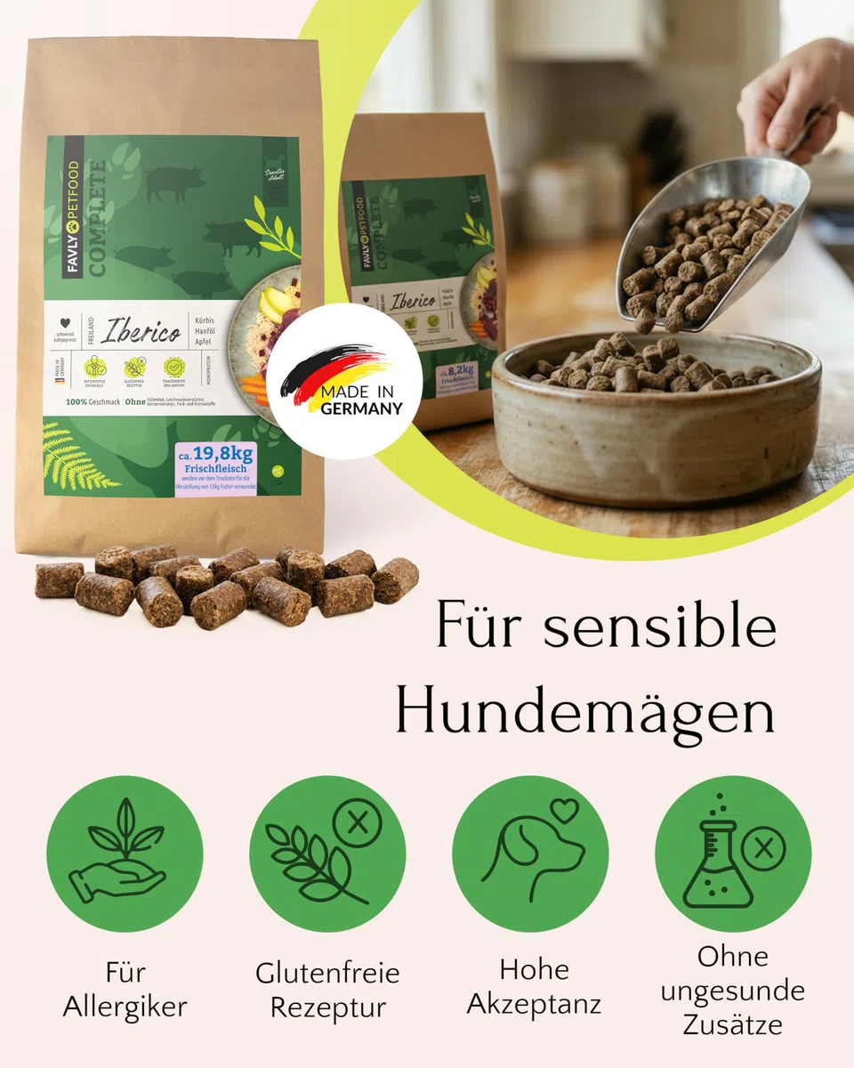 FAVLY – Freiland-Iberico Trockenfutter für Hunde 12kg – kaltgepresst & glutenfrei – mit Kürbis, Hanföl & Apfel – Monoprotein für Allergiker & Sensible Hunde – hoher Fleischanteil & ohne Zusätze