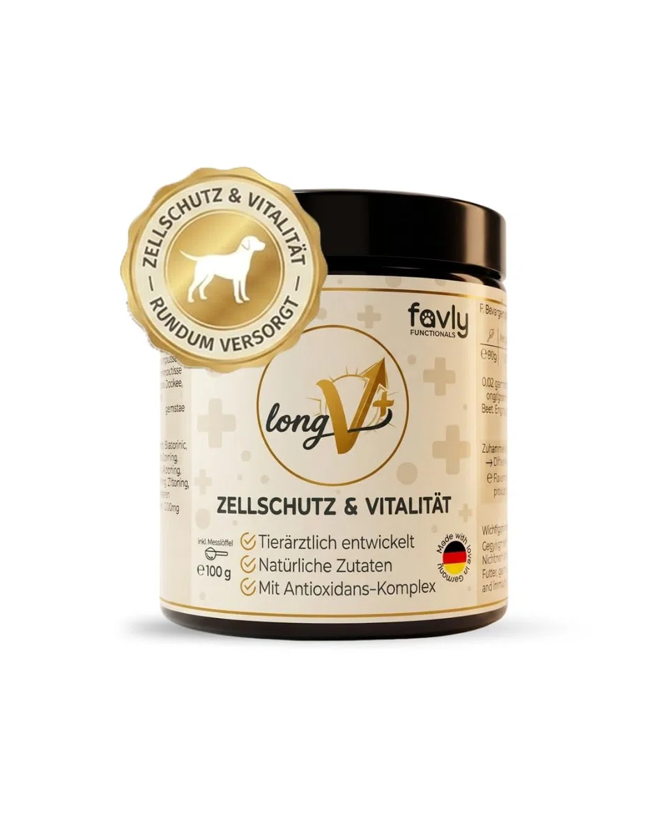 LongV+ – Zellschutz & Vitalität für Hunde – tierärztlich entwickelt – Grünlippmuschel, MSM, Vitalpilze & Antioxidantien – Getreide- & glutenfreies Pulver – 6er Set (6 x 100 g)