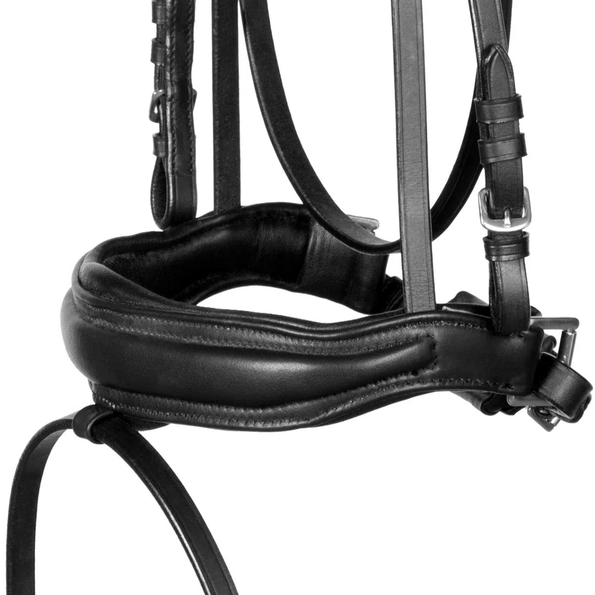 Trense Soft Schwarz anatomisch Custom ~ Classic ~ WB VB