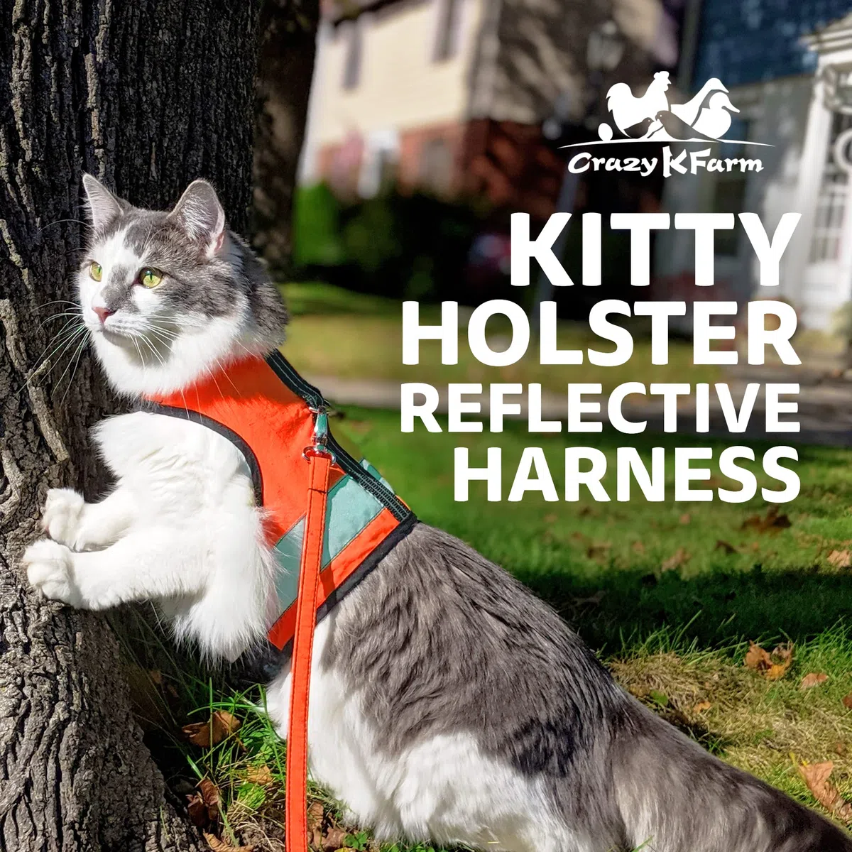 Kitty Holster Reflektierendes Katzengeschirr, gut sichtbare Katzenweste für Tag und Nacht, sichere, atmungsaktive und waschbare Baumwolle, ideal für Spaziergänge und Reisen, Outrageous Orange, XL