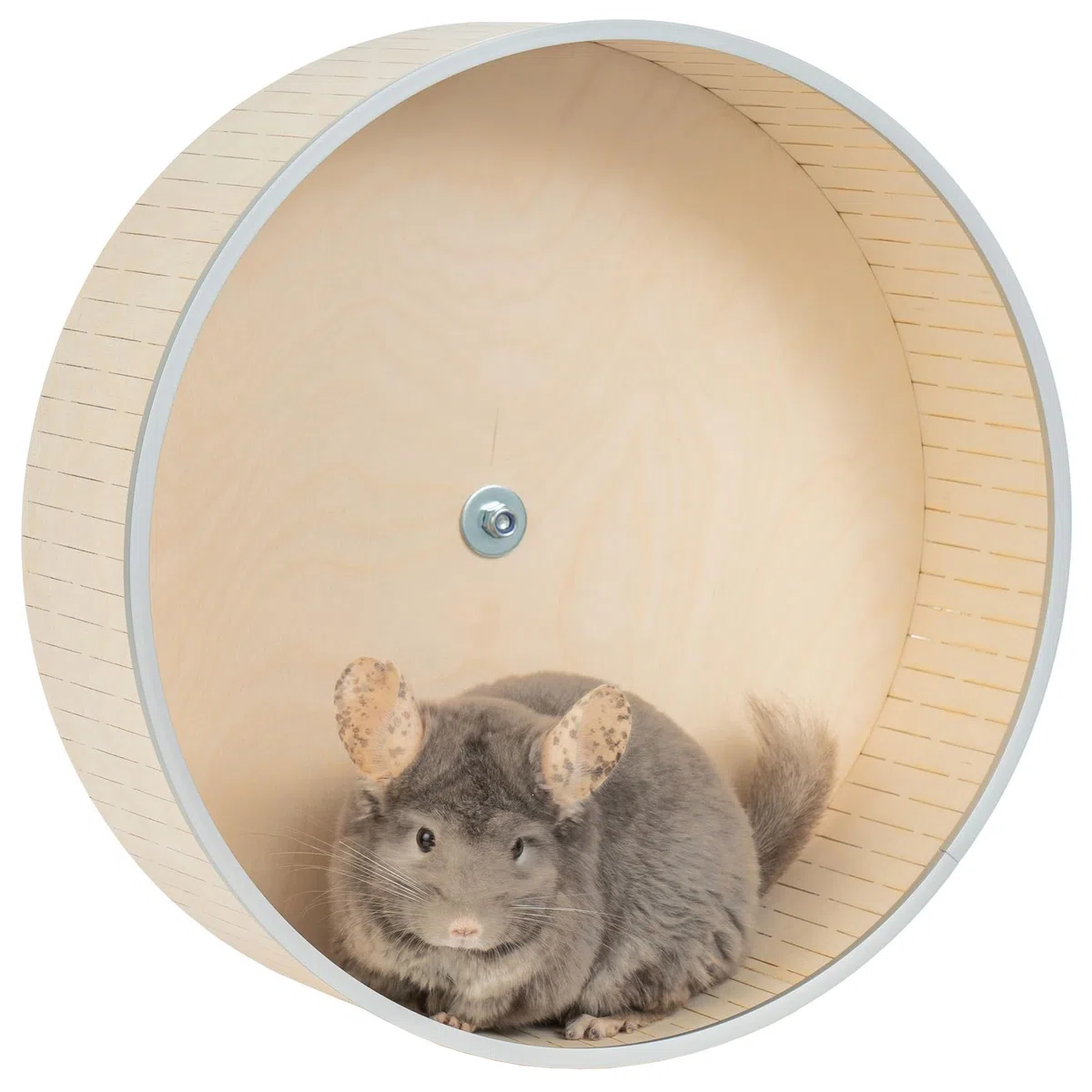 Chinchilla laufrad 43 cm großer
