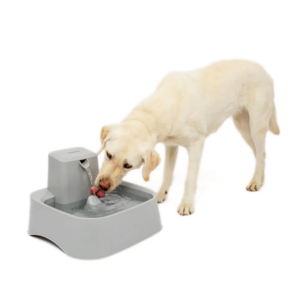 PetSafe Drinkwell Haustierbrunnen -Trinkbrunnen für Katzen und Hunde mit Wasserfall-Funktion - Fördert die Flüssigkeitsaufnahme und schützt empfindliche Schnurrhaare - 7,5 Liter Fassungsvermögen