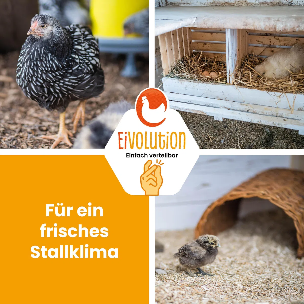 Hanfeinstreu 14 KG - Extreme Saugkraft & Geruchsbindung für Hühner, Pferde & Nager - Staubarm & Umweltfreundlich - Kompostierbar