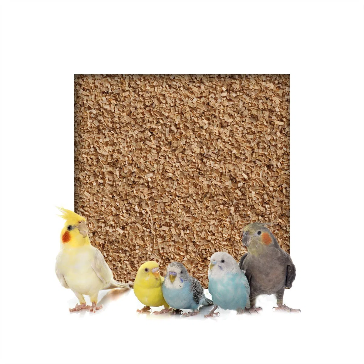 20kg Buchenholzgranulat Vogelsand Bodengrund Terrariensand Einstreu Terrariumsand Tiereinstreu Körnung Fein 1,0-2,5 mm