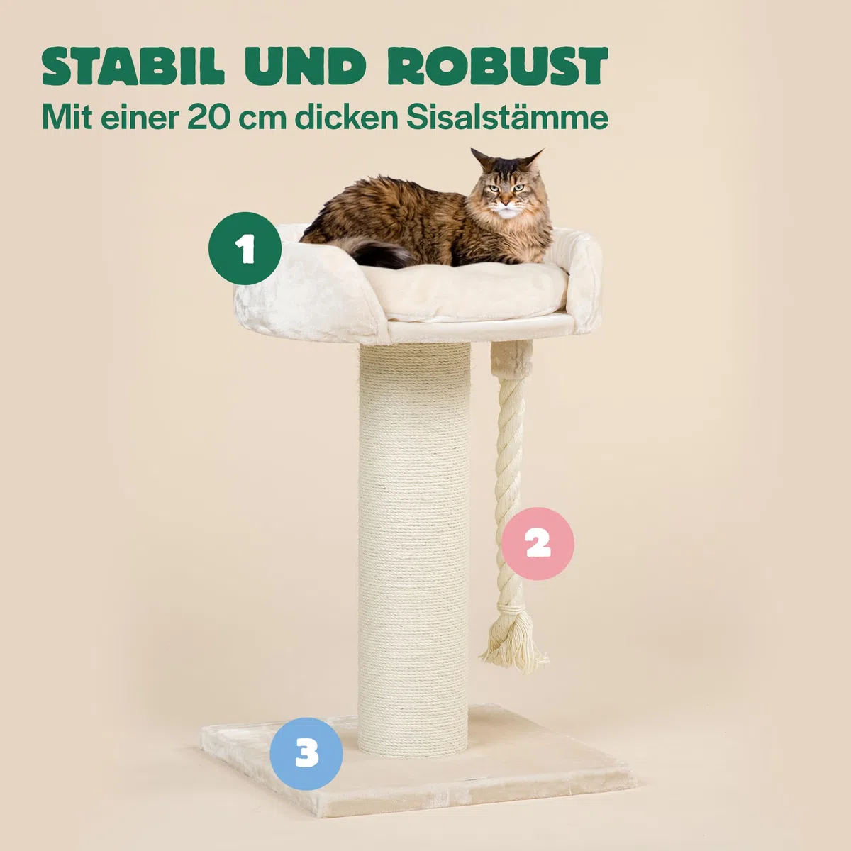 RHRQuality Kratzbaum für große Katzen – Chartreux – 80 cm hoch – Mit extra dickem 20 cm Sisalstamm – Luxuriöse Liegefläche von ⌀60 cm – Crème