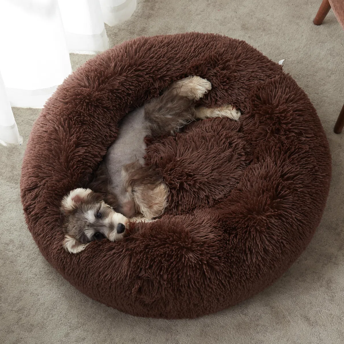 Western Home Hundebett Run, Katzenbett Flauschig, Hundekissen Kleine Hunde,Hundebett Waschbar,Hundekorb,Katzenkorb Zum Schlafen 60 cm,Dunkelbraun