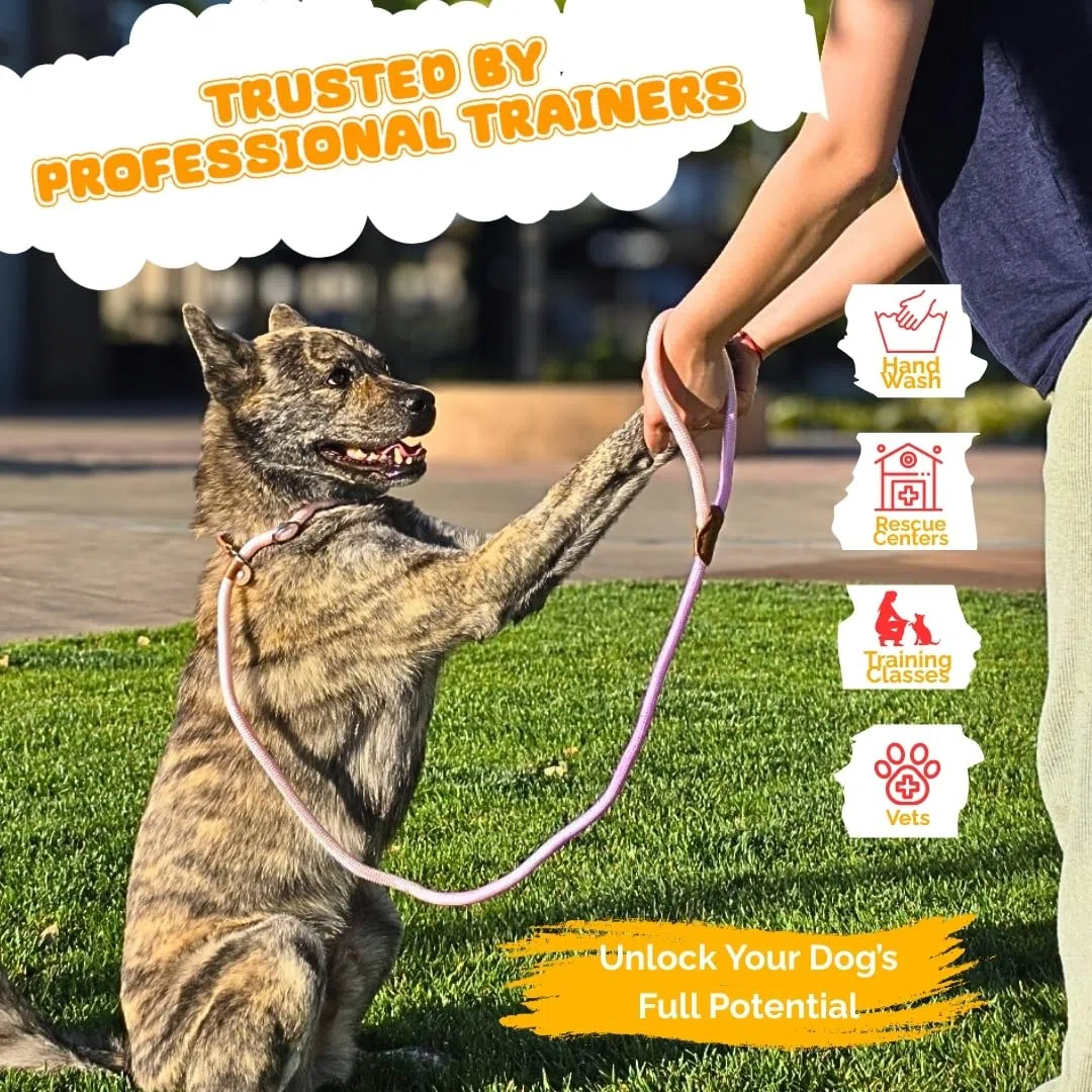 Hundeleine – Retrieverleinen für Hunde, 1,5 m lange Haustier-Trainingsleine, stark, strapazierfähig, geflochten, keine Zugschlaufe, Trainingsleine für kleine, mittelgroße und große Rassen,