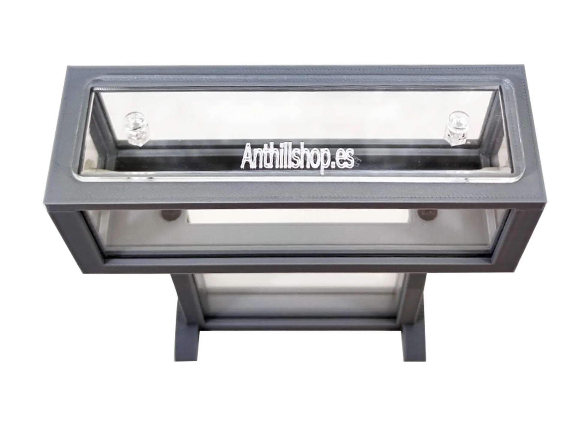Ameisenfarm-Set T – Mini-Natursand 15x5x16 – Gratis Ameisen inklusive ┃ 20–30 Ameisen