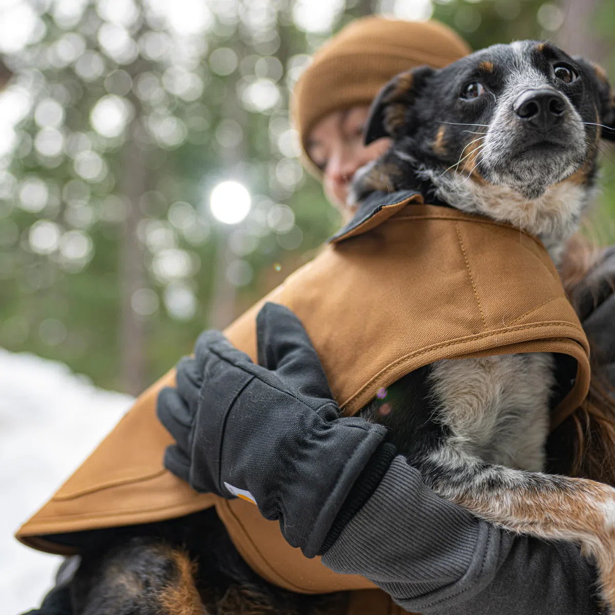 Carhartt Firm Duck Hundemantel, isoliert, wetterbeständig, für kalte und windige Bedingungen, Weinrot, Größe S