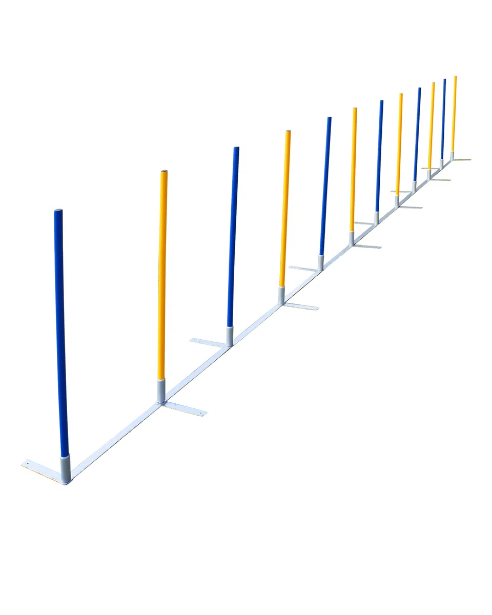Agility-Slalom – Slalom für Turnier & Agility-Training – mit 12 Stangen & und Basis aus Metall – stabile Ausführung – FCI-konform – Set mit Tragetaschen