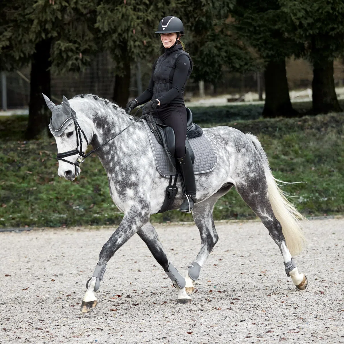 HORZE Schabracke Adepto, Schabracke Vielseitigkeit für Pferd und Pony, Grau, F