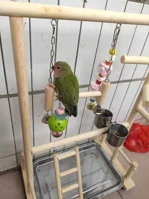 Liudan Papageispielstände mit Tasse Toys Tablett Vogel Swing Klettern Hängende Leiterbrücke Holz Cashatiel Spielplatz Vogelperches