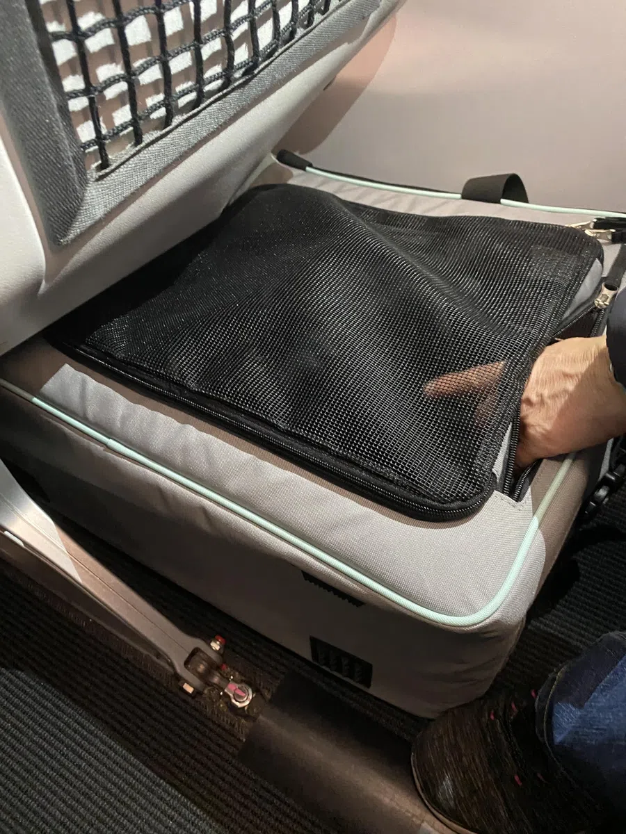 Premium Hundeflugtasche 55x40x23 cm PET EUWI | aus recycelten PET-Flaschen | wasserabweisend und belastbar bis 12 kg, große Mesh-Öffnung, Rucksackfunktion & Trolley-Befestigung
