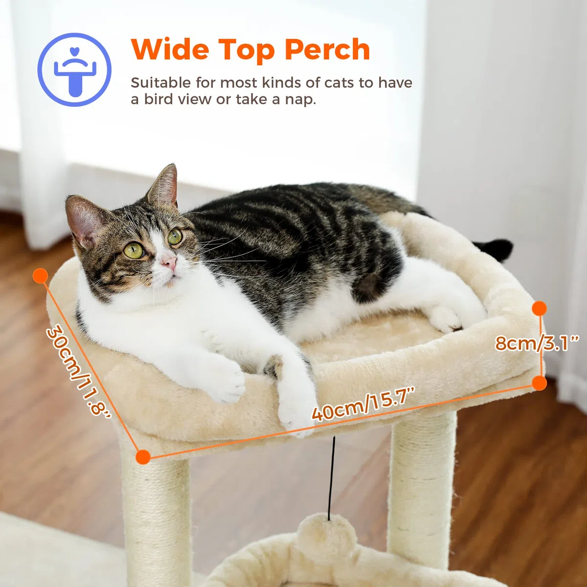 PEQULTI Indoor Kratzbaum Turm kleine Katzen, Sisalpfosten & gemütliche Höhle, Beige | Private weiche Katzenhütte Soft Top Sitzstange Natursisal Kratzstämme Plüsch Pom Pom Spielzeug für Indoor Kätzchen