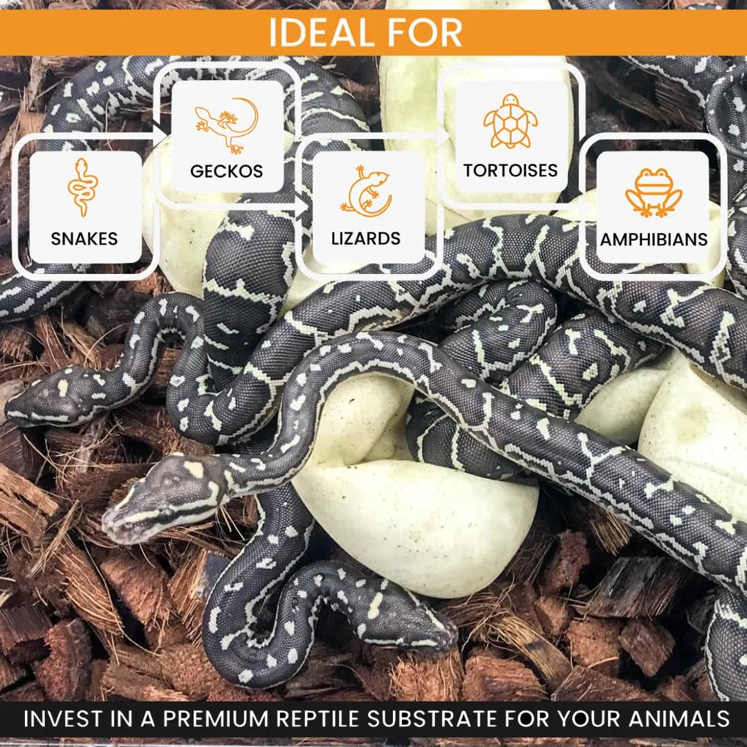 ReptiChip Coconut Substrate for Reptiles 4 Pack of 36 Quart Loose Coarse Coconut Husk Chip Reptile Bedding for Ball Pythons, Tortoises, Geckos, Frogs, Snakes or Lizard Terrarium Tanks