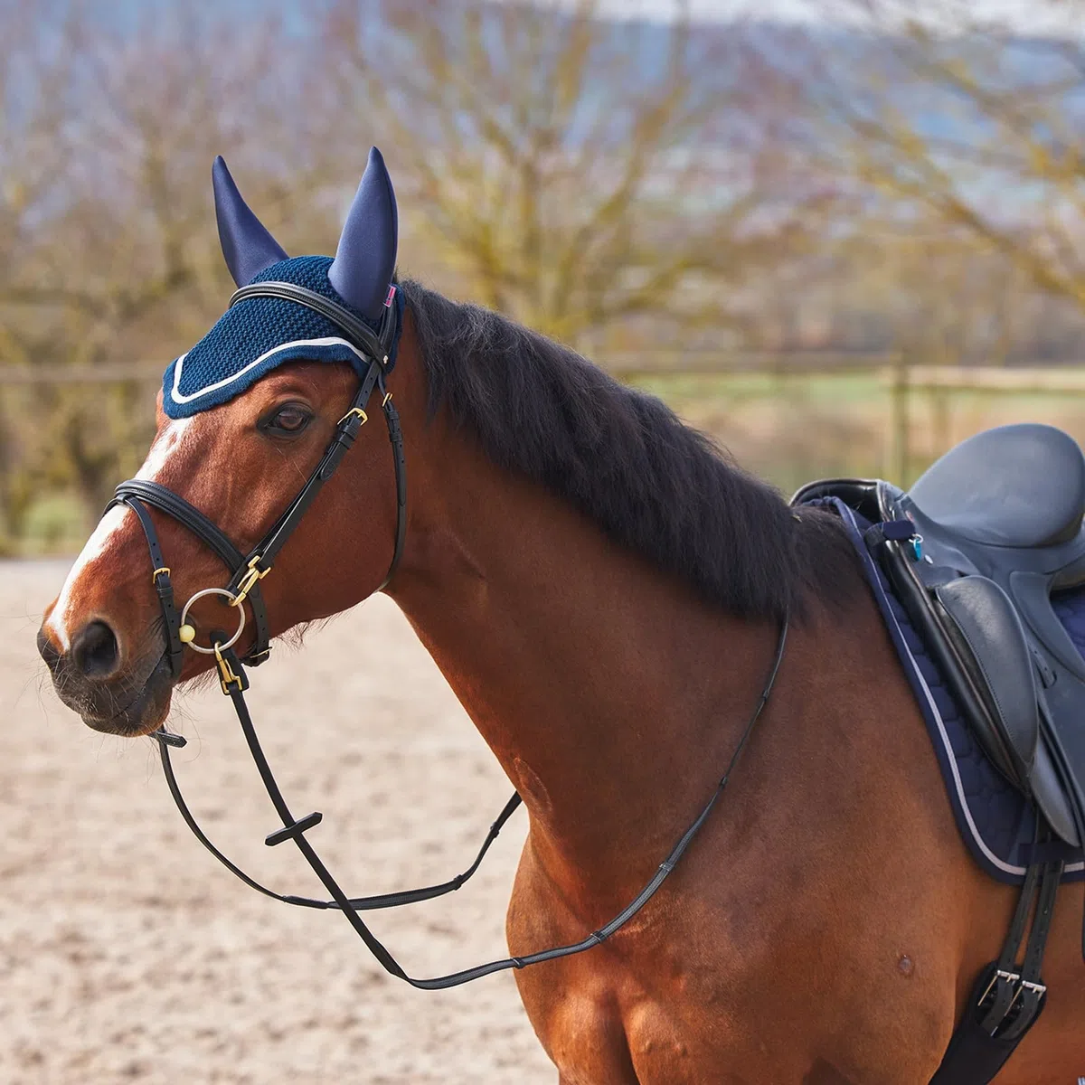 B Vertigo Zurich Fliegenhaube, Blau, F