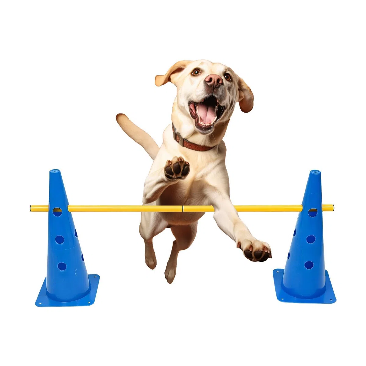Generisch Hunde-Agility-Ausrüstung Robust und tragbar | Hürden--Set für Agility-Training für Übung, Wettkampf, Spiel, kleine, mittlere, große Hunde, Welpen, Indoor und