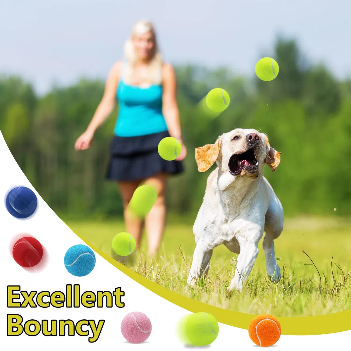 Swingers Quietschende Tennisbälle für Hunde, 6,3 cm, Trainingsball für Haustiere, Hunde, mit Netz-Tragetasche, leicht zu transportieren (mehrfarbig, 60 Stück)