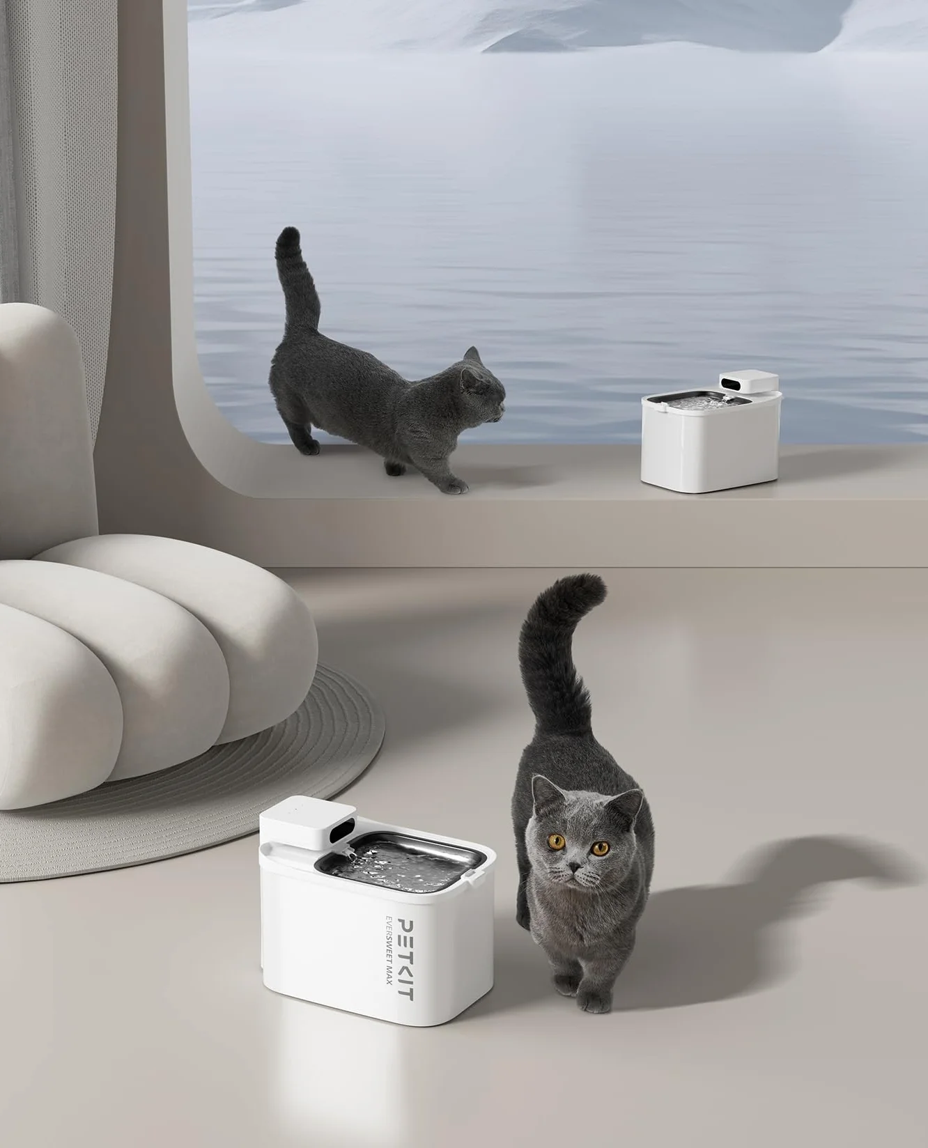PETKIT EVERSWEET MAX Filter,Aktivkohle, Hocheffiziente Filtration,5pcs für Katzen Hunde Trinkbrunnen