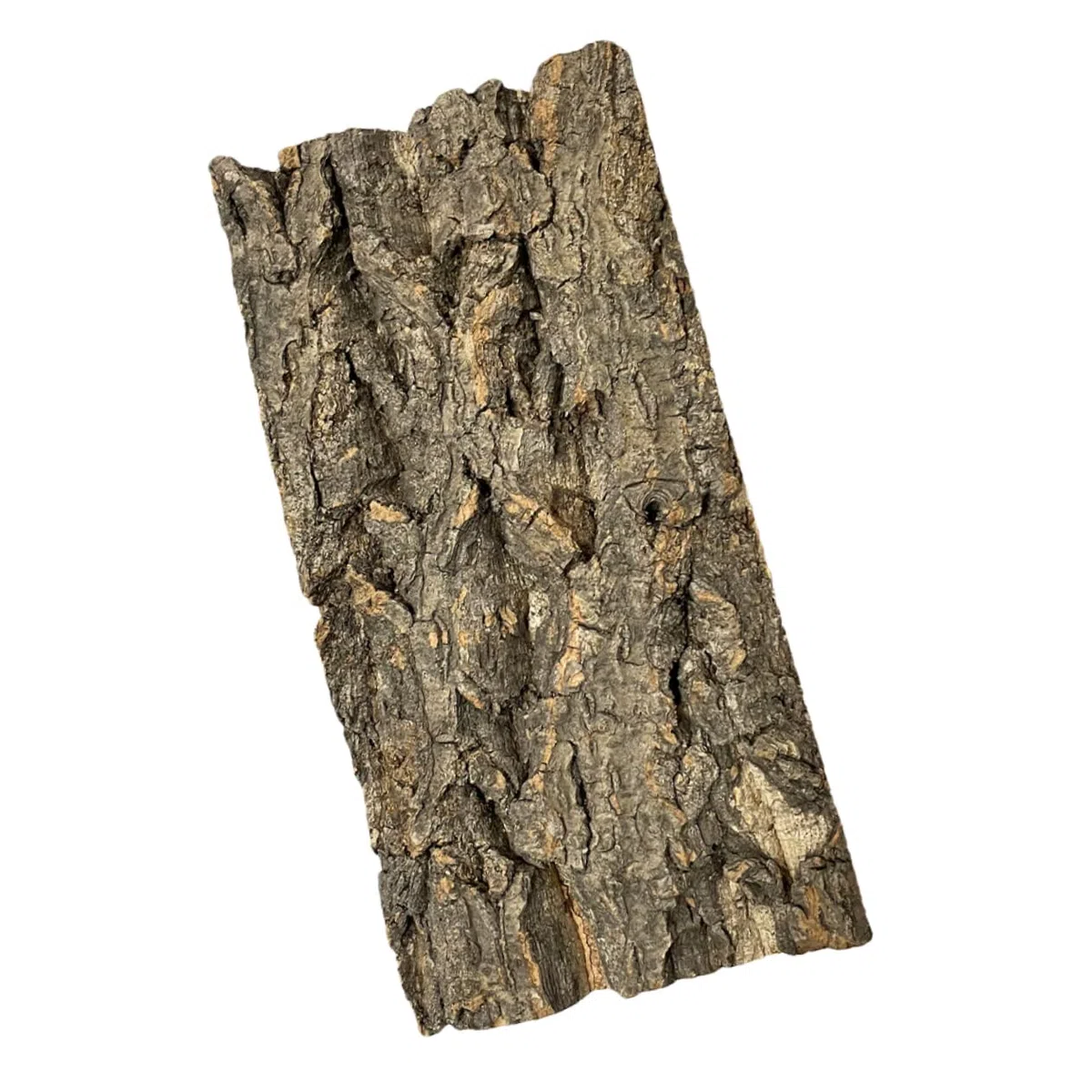 INOOMP 10stücke Reptilien-Terrarium Hintergrund Aus Natürlicher Baumrinde Langlebige Dekoration Für Aquarien Und Terrarien Geeignet Für Schildkröten Schlangen Und Andere Haustiere