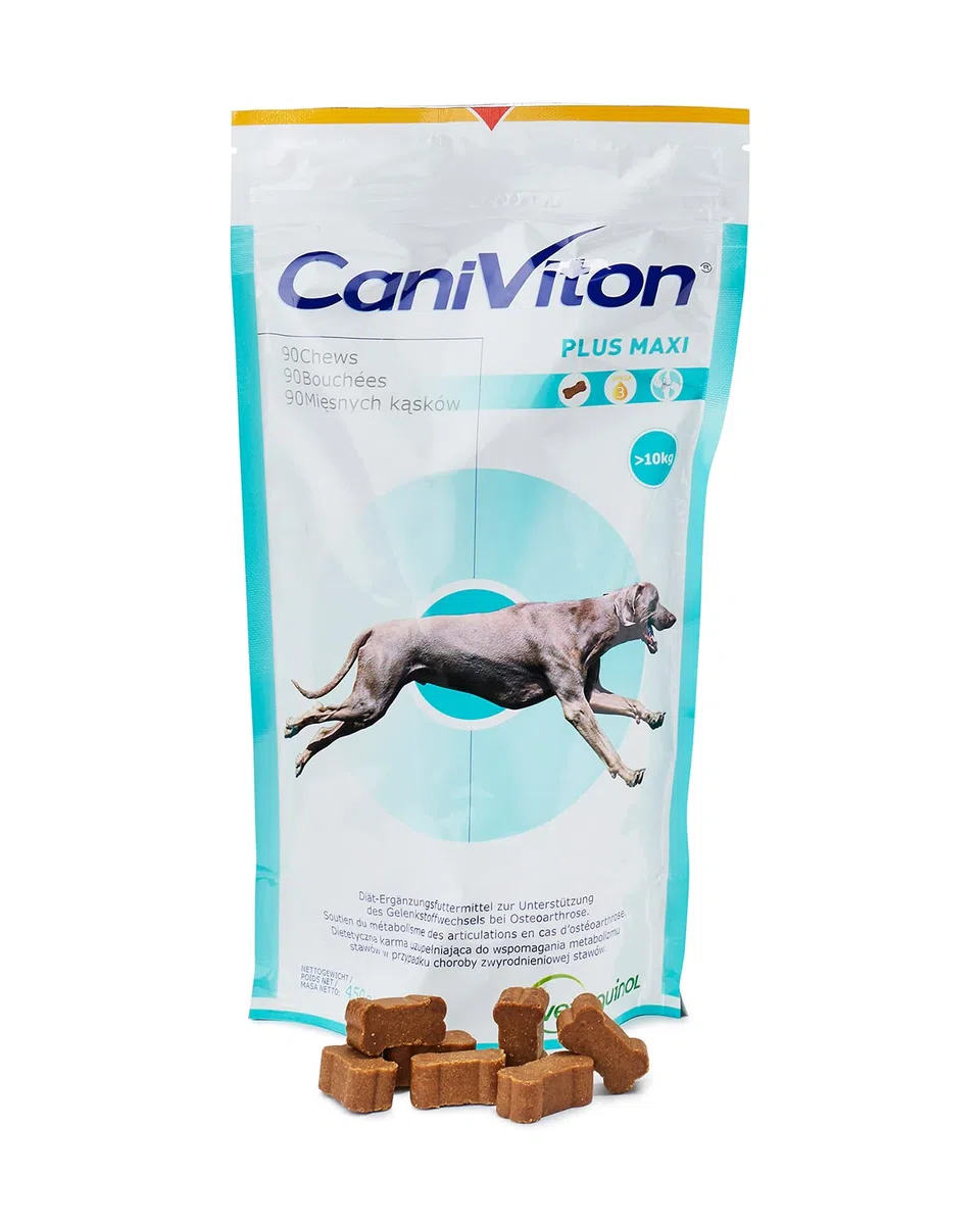 Vetoquinol Caniviton Plus Maxi | 90 Chews | Ergänzungsfuttermittel für Hunde | Kann unterstützend wirken in der Gelenkgesundheit | Enthält Glucosamin und Chondroitinsulfat