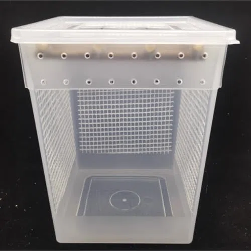 Belüftete Mantel-Terrarium-Box, transparenter Insekten-Zucht-Käfig mit sicherem Deckel für Spinne, Echsen- und kleine Haustierbeobachtung, einfach sauberes Plastikgehäuse Home Habitat, weiß