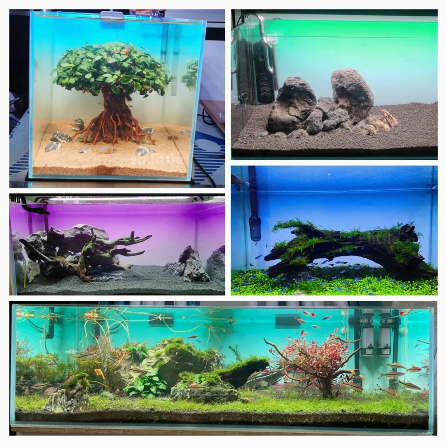 Aquarium Rückwandfolie Fisch Tank Hintergrund Aufkleber Gradienten Einfache Druck Tapete Aquarium Dekorationen PVC(Green,60x120cm)