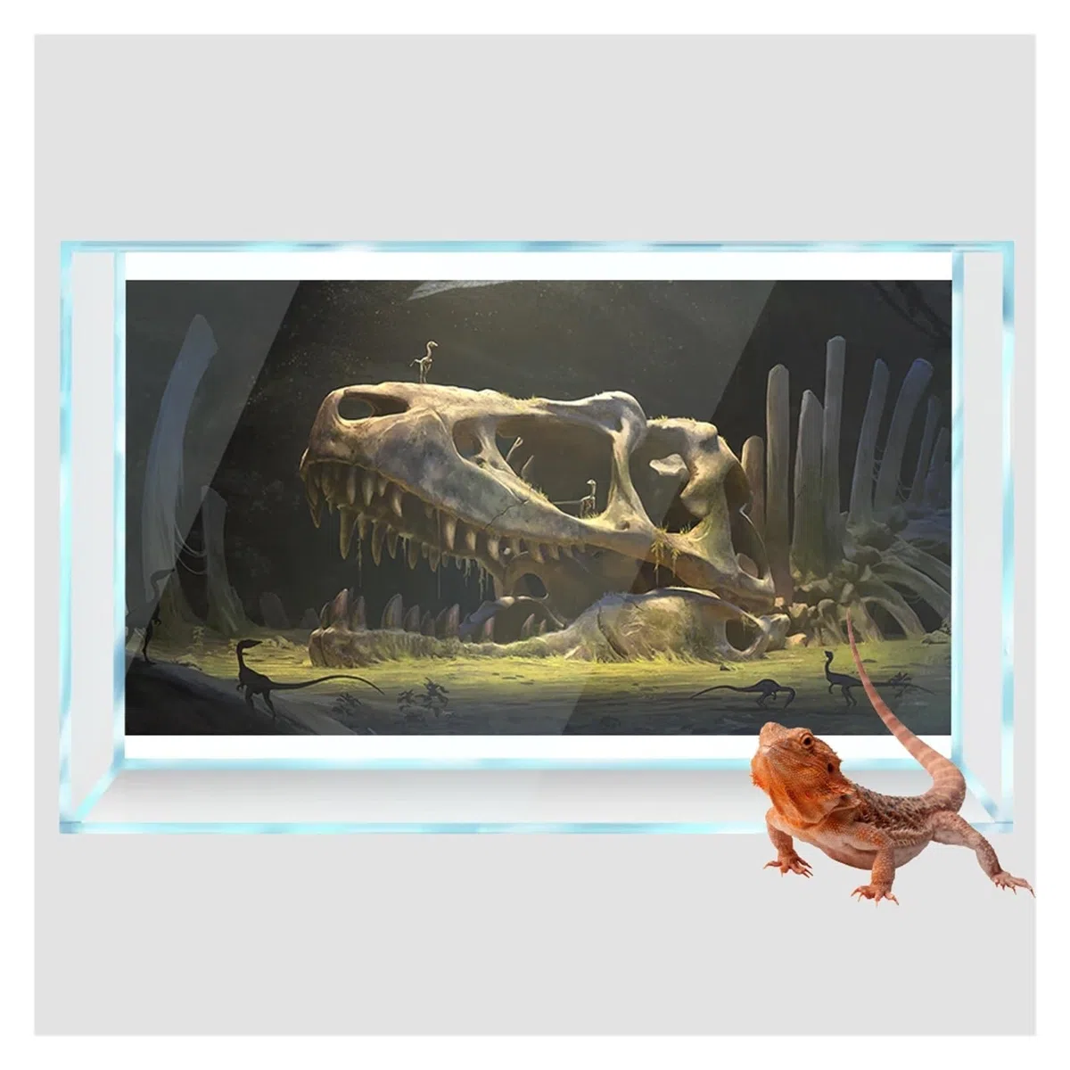 Aquarium rückwand Reptile Habitat Hintergrund Dinosaurier Knochen Wüste Tapete Aquarium Dekorationen PVC für Dekoration(60x120cm)