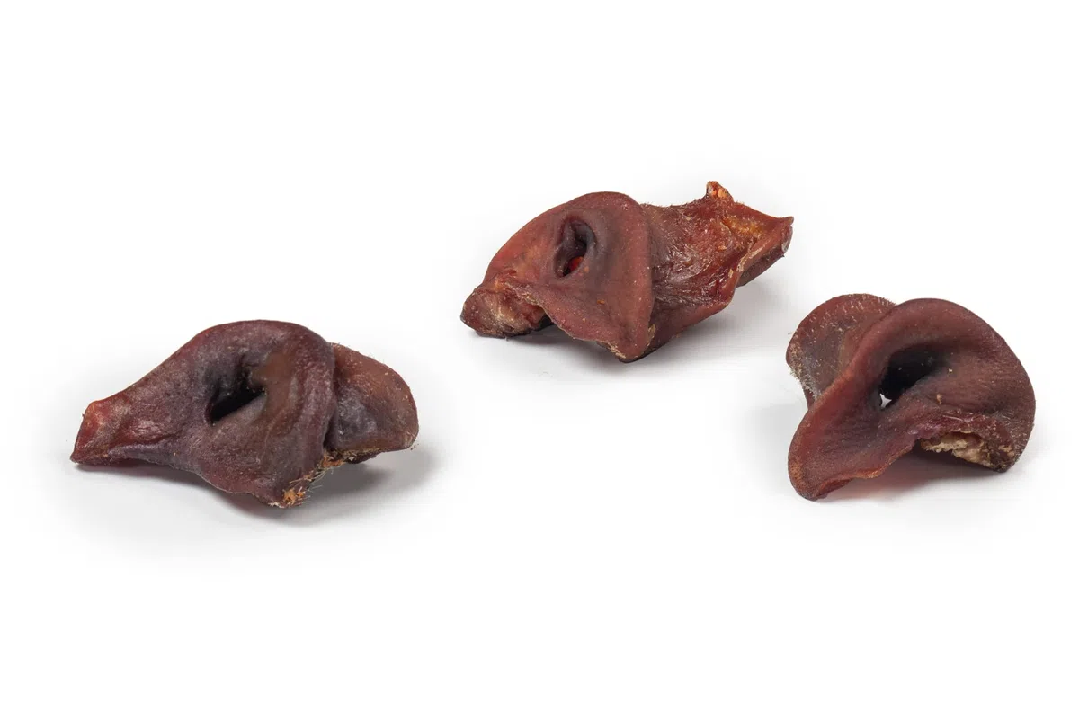 DIBO Schweinenasen, 5kg-Karton, der kleine Naturkau-Snack oder Leckerli für Zwischendurch, Hundefutter, Qualitätskauartikel ohne Chemie
