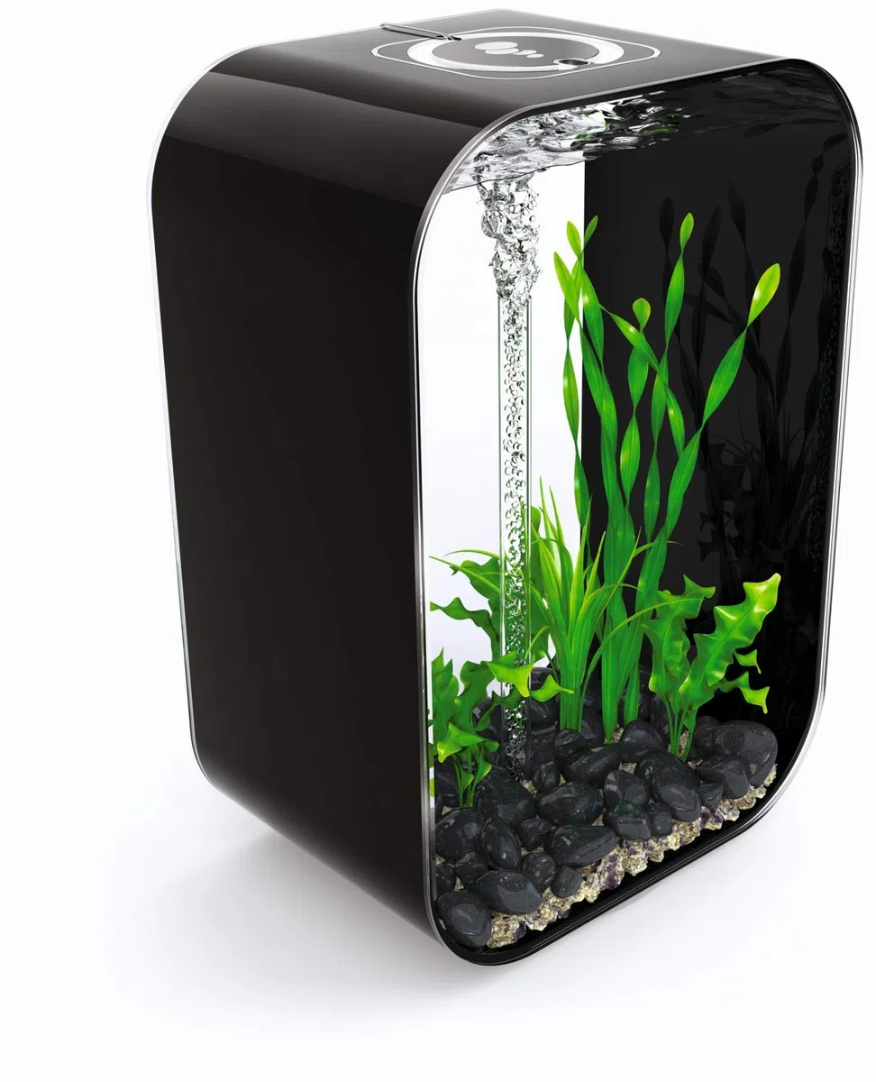 biOrb Life 60 MCR schwarz