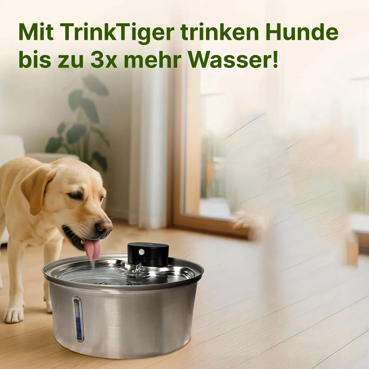 NordFlow 2.0 Hundebrunnen 3,2L Kabellos Katzenbrunnen mit 5000mAh Batterie, Sensor, LED und Filter - Trinkbrunnen für Katze